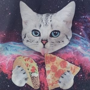 ⭐️3 FOR $20⭐️Cat bag